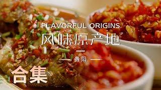 【风味原产地·贵阳】01-10全集 高能的美食画面上头的味蕾冲击集合10种地道风味，品10种人生乡愁  Flavorful Origins Gui Yang  腾讯视频 - 纪录片