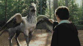 Гарри Поттер пытается приручить Гиппогрифа - Гарри Поттер и узник Азкабана отрывок из фильма