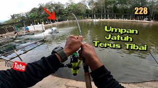 Tips & Teknik Mancing Kolam Air Masin Kolam LG Batang Kali