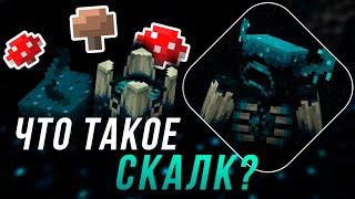 ЧТО ТАКОЕ НА САМОМ ДЕЛЕ СКАЛК ? Майнкрафт Теория - Stonks