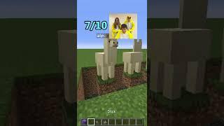 Minecraft Who do you BELIEVE won the competition?  #Shorts