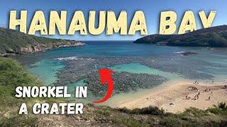 Hanauma Bay Adventure  Luckiest Day Ever Snorkeling at Hanauma Bay