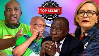 GAYTON MCKANZIE VS HELEN ZILLE A WAR CAUSED BY RAMAPHOSA  EVERYTHING YOU NEED TO KNOW.