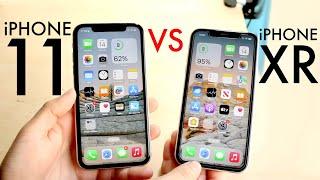 iPhone 11 Vs iPhone XR In 2023 Comparison Review
