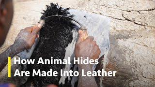 How Leather Is Made From Animal Hides  Leather Tanning Process