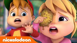 Can Alvin Rescue The Chipmunks From A TOAD Attack?  ALVINNN  Nickelodeon Cartoon Universe