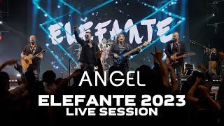 Angel ELEFANTE 2023 Live Session