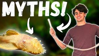 The WORST Fish Keeping MYTHS Top 10 Aquarium LIES and MYTHS