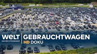 Heiligs Blechle - Deutschlands größter Gebrauchtwagenhandel  Doku