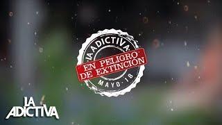 La Adictiva - En Peligro De Extinción Lyric Video