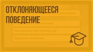 Отклоняющееся поведение. Видеоурок по обществознанию 8 класс