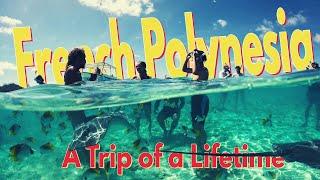 French Polynesia  Best Things to do in 2024