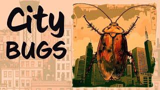 Which BUGS live in cities?  bonus DOWNLOADS