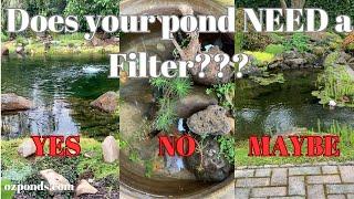 Do you even need a filter for your pond?