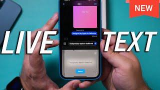 How to Use Live Text on iPhone - iOS 15 Update