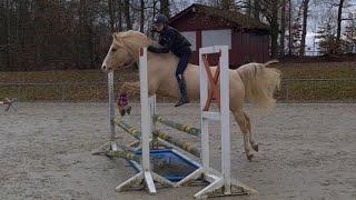 Malu 12 und Dancer - STURZ aber nichts passiert - am 09.02.2022