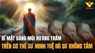 Bí Mật Đằng Sau Mùi HƯƠNG TRẦM Trên Cơ Thể Sư MINH TUỆ Dù Sư Không Tắm  Tiếng Nói Việt