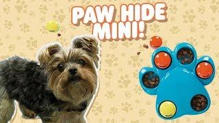 PAW HIDE MINI - Toy Box Pets