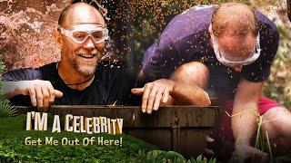 Mike and Matt take on Fallen Stars  Im A Celebrity... Get Me Out Of Here