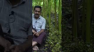 ഏലം  Pestiside combination #shorts #shortsfeed #youtubeshorts #youtube #youtubefeed