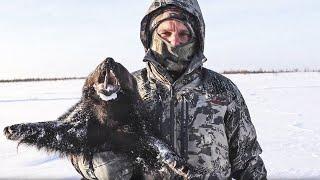 S polem Successful Hunt Reindeer and Wolverine. Hunting behind the Arctic Circle. Part 2