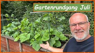 Gartenrundgang Juli 2024 - Gemüsegarten - Biogarten - Hochbeet - Gewächshaus - Gurken - Tomaten  BIO