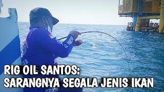 Strike Bertubi-Tubi di Spot Pengeboran Minyak Santos ‼️ Sarangnya Segala Jenis Ikan‼️