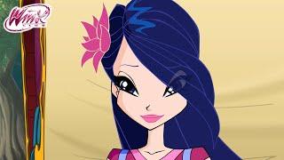 Winx Club - Top episodes with Musa