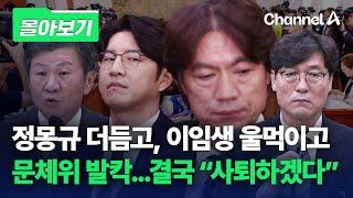 몰아보기 문체위 발칵 이임생 사퇴하겠다…정몽규·홍명보는?  채널A