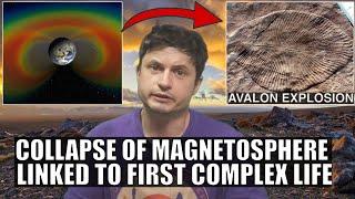 Strange Link Between Magnetosphere Collapse and Complex Life on Earth