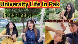 University Life In PakJhand LifeZehreela phal kha liaMehwish Naz Vlogs