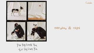 Colde - Your Dog Loves You Feat. Crush lyrics HANGULROMANIZATIONENGLISH