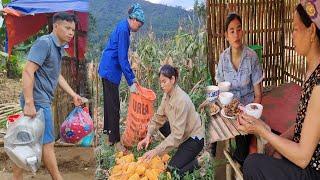 Who is helping me? Have lunch with Auntie who donated land. Help Auntie harvest corn