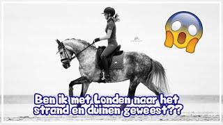 Ben ik met Londen naar het strand en duinen geweest?️ #joanneneidhoferhorses #vlog423