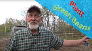 How to Plant Green Beans in Weed Free Deep Mulch No Till Ruth Stout Type Garden 4-6-2020