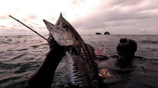 A BUNCH OF BLESSINGS  KINGMACK PARA SA LUNCH #spearfishingphilipines #fishing #gopro