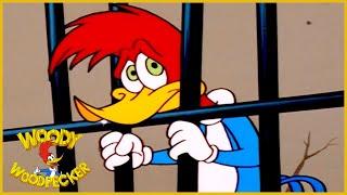 Woody Woodpecker Show  1 Hour Compilation  Cartoons For Children