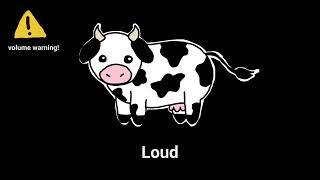 Cow Moo Sound Variations in 60 seconds