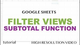 Google Sheets - Filter Views & SUBTOTAL Function Tutorial