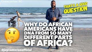 Why Do African Americans Have DNA From So Many Different Parts Of Africa? The Great Melting Pot