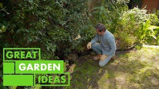 Spring Gardening Tips  GARDEN  Great Home Ideas