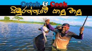 පිඹුරත්තෑවේ වැව් මාළු  Catch & Cook Vlog  පොළොන්නරුව  @wishwatiyubaya 