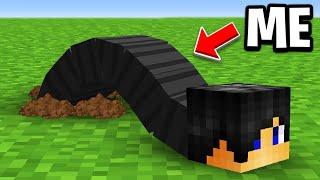 Minecraft but I Become a WORM