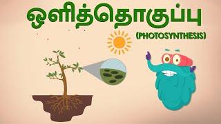 Photosynthesis  ஒளித்தொகுப்பு  Science Videos In Tamil  Dr. Binocs Tamil  Kids Learning Video