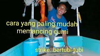 Cara  memancing cumi di malam  hari