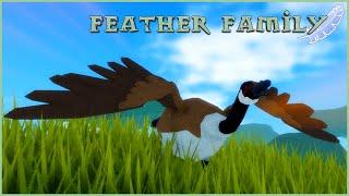 I found a roblox game where I can become a BIRD  Feather Family