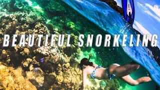 Best Snorkeling in Koh Lipe and beyond  Thailand