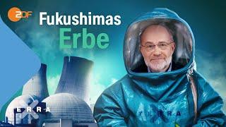 Übereilter Atomausstieg? Fukushimas Erbe  Harald Lesch