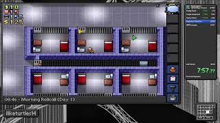 The Escapists  PC Any%  100%  2011.333 FWR