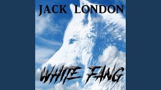 Part2- Ch1.3 - White Fang